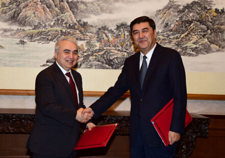 國家發展改革委副主任、國家能源局局長努爾·白克力